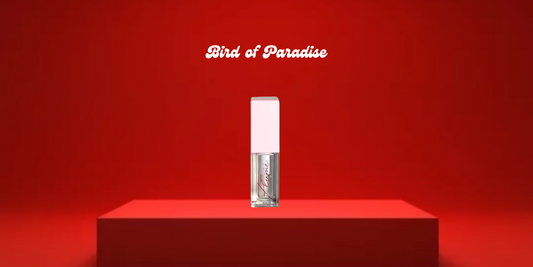 Bird of Paradise